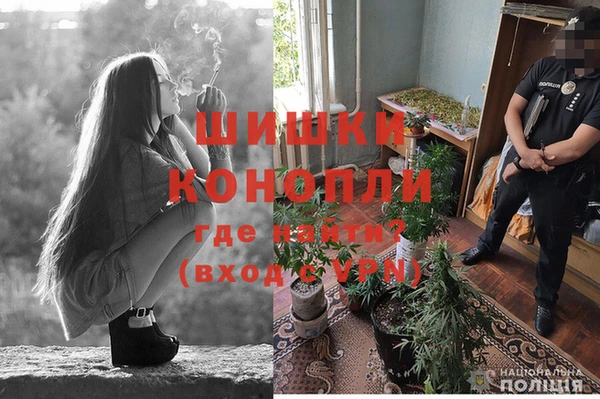 трава Гусь-Хрустальный