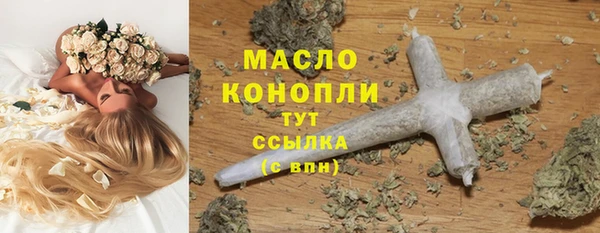 стаф Гусев