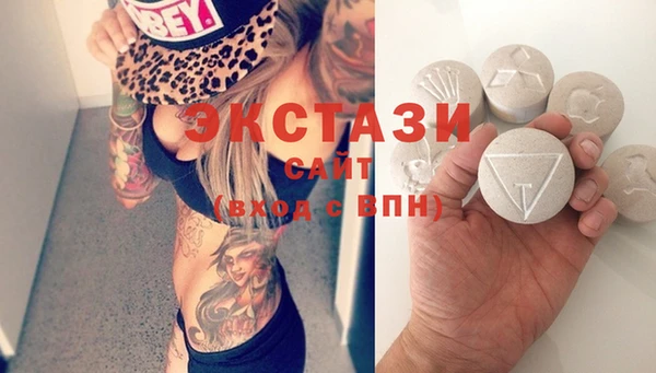 стаф Гусев