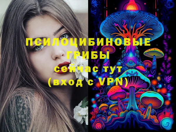 ALPHA PVP Гусиноозёрск