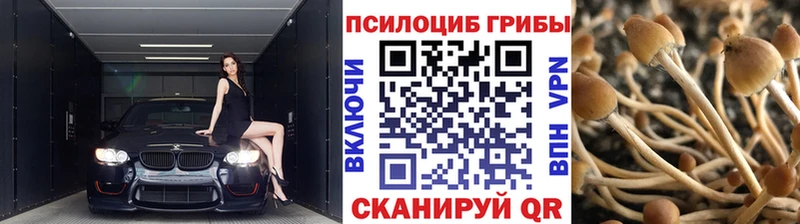 Псилоцибиновые грибы Cubensis  Еманжелинск 